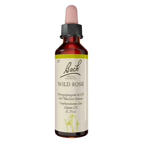 BACHBL&Uuml;TEN Wild Rose Tropfen