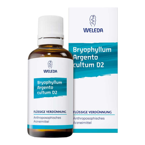 BRYOPHYLLUM ARGENTO cultum D 3 Dilution