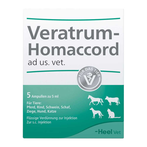 VERATRUM HOMACCORD ad us.vet.Ampullen
