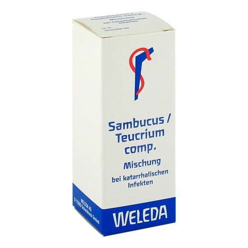 SAMBUCUS/TEUCRIUM comp.Mischung
