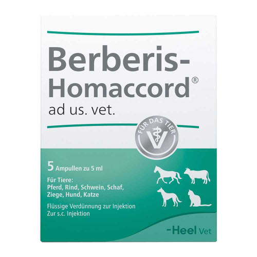 BERBERIS HOMACCORD ad us.vet.Ampullen