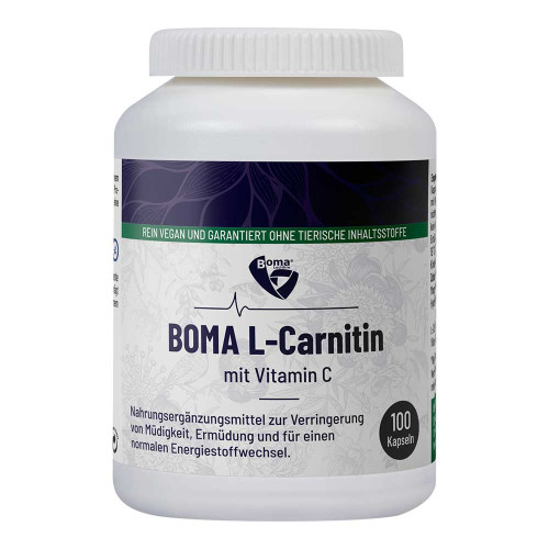 L-CARNITIN 500 Kapseln