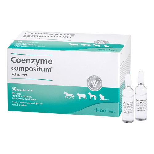 COENZYME COMPOSITUM ad us.vet.Ampullen