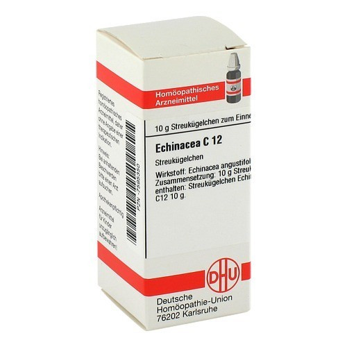 ECHINACEA HAB C 12 Globuli