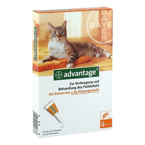 ADVANTAGE 40 L&ouml;sung f.Katzen bis 4 kg