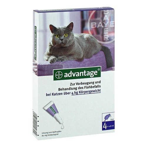 ADVANTAGE 80 L&ouml;sung f.Katzen