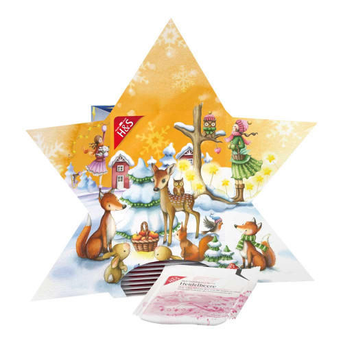 H&S Adventskalender Stern Filterbeutel